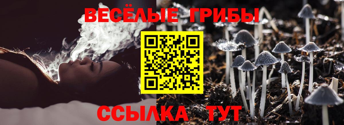 Ликино-Дулёво  Галлюциногенные грибы ЛСД  Вход с VPN  Галлюциногенные грибы Psilocybe 